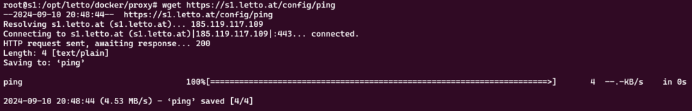 1000px-REST-ping.png