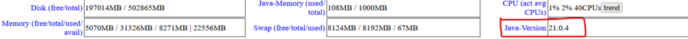 1000px-Java_Version_21.png